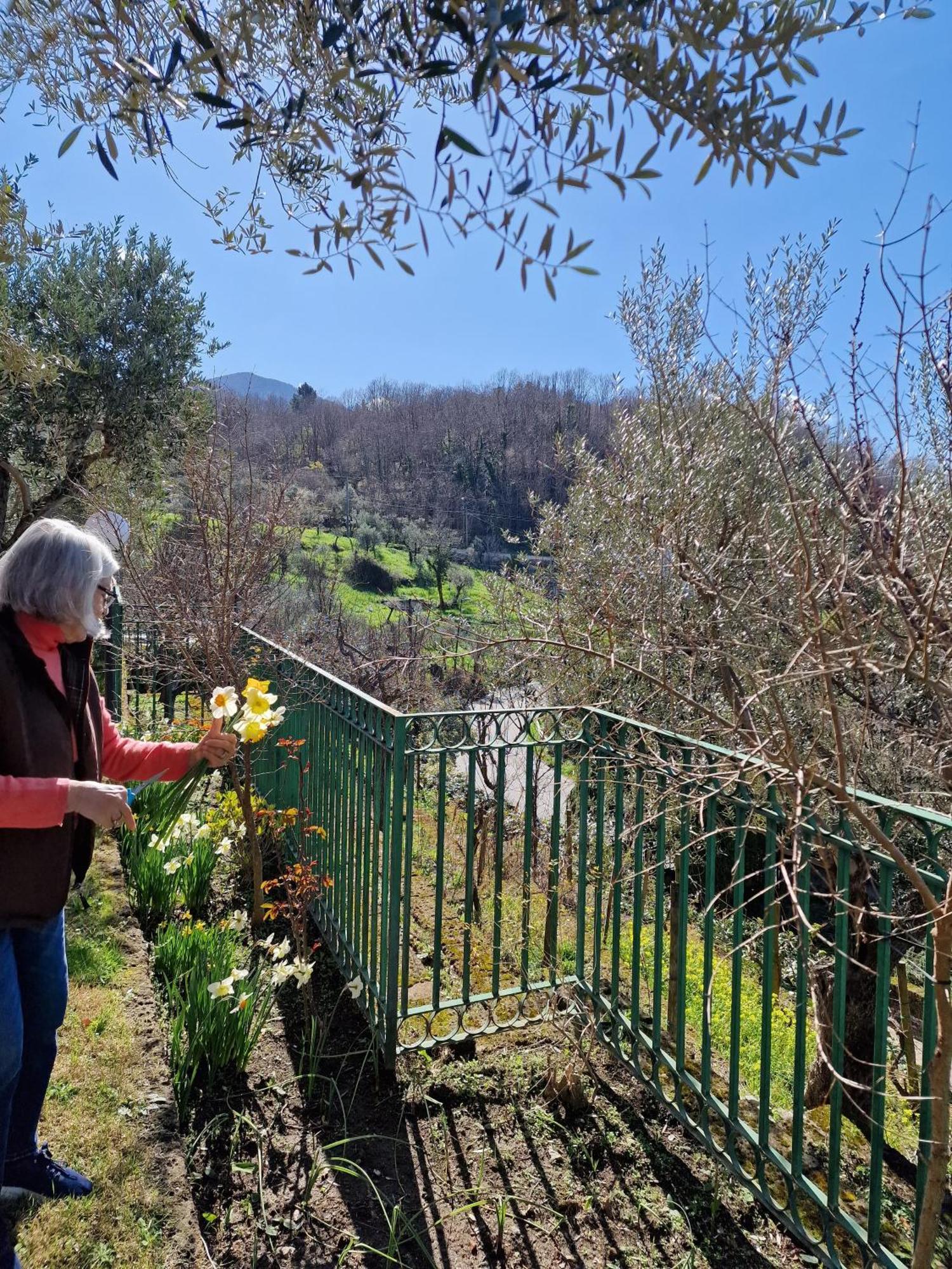Villa Mandetta B&B Santo Stefano del Sole 외부 사진